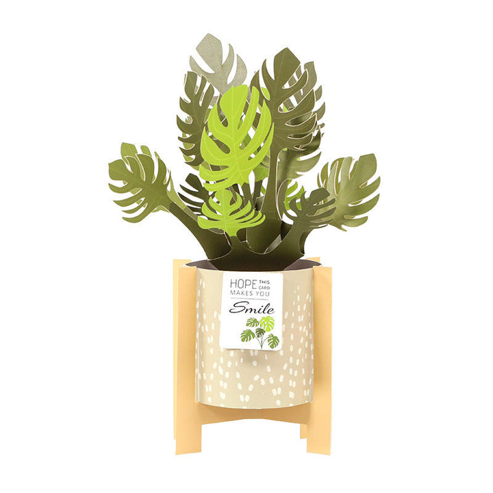 3D Pop Up Potting Plant Greeting Card