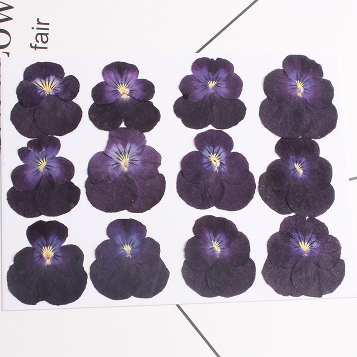 Kokorosa Real Dried Flower Pansy Craft Diy Accessories (12PCS)
