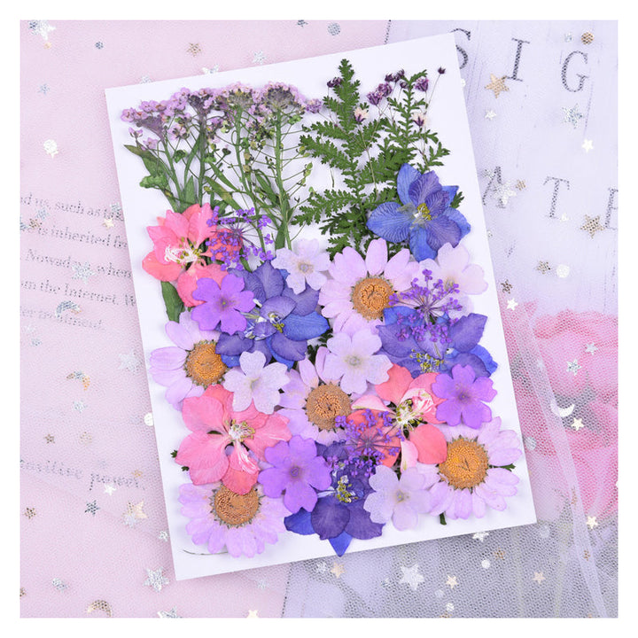 Kokorosa Real Dried Flower Purple Dream Craft Diy Accessories