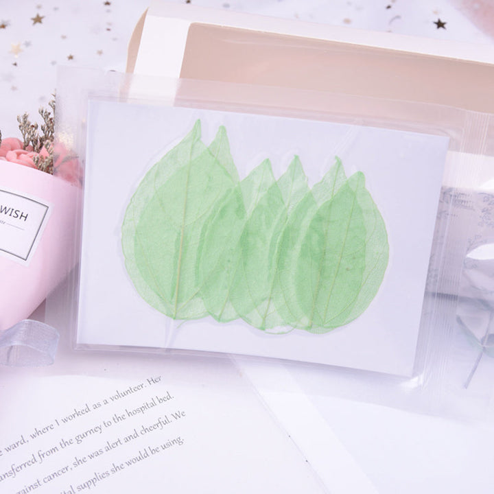 Kokorosa Real Dried Leaves Leaf Vein Bookmark Craft Diy Accessories
