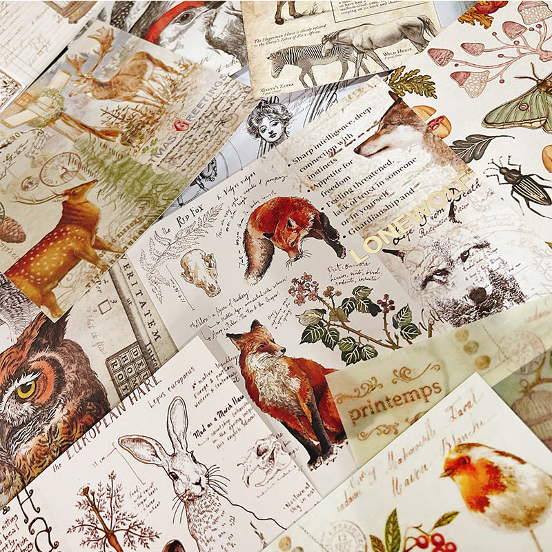 Kokorosa Animals Theme  Scrapbook & Cardstock Paper